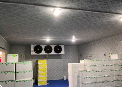 保鲜冷库建造要求