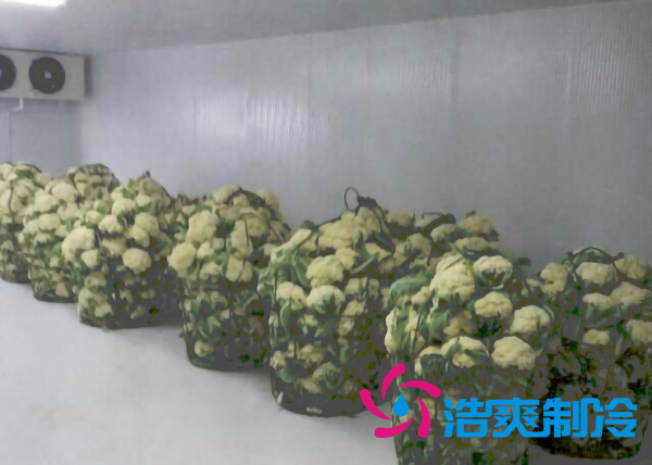 食品冷库保鲜库设计安装方案及其储藏效果