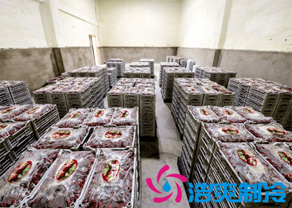 果蔬保鲜冷库安装造价需要多少钱？_浩爽制冷