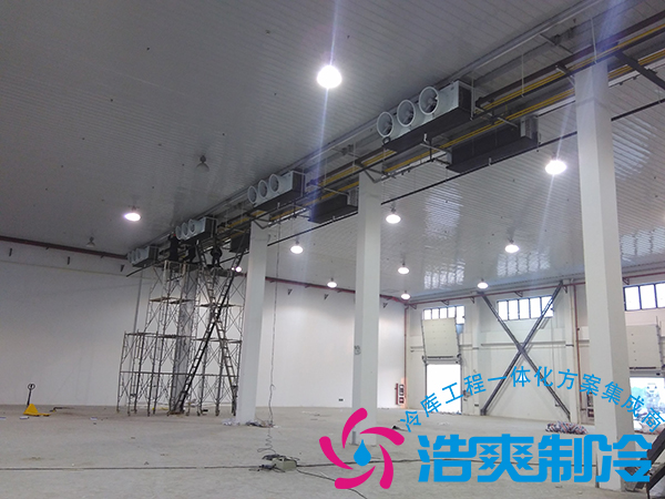 建造一个小型青果槟榔保鲜冷库造价多少钱？可以存储多长时间？