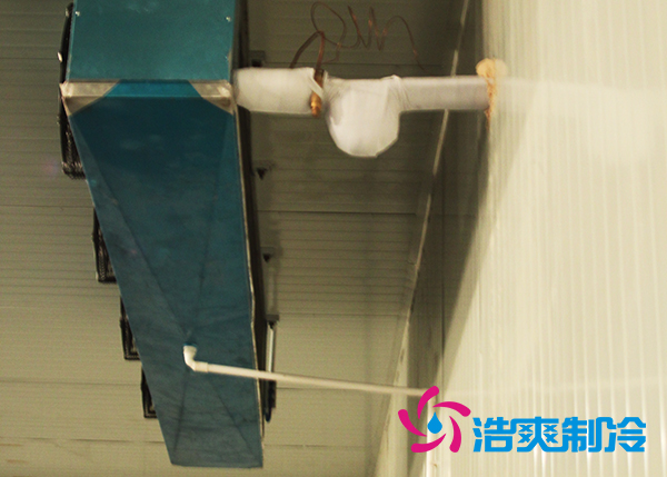 鲜花冷库建造设计方案及鲜花存储方法_浩爽制冷