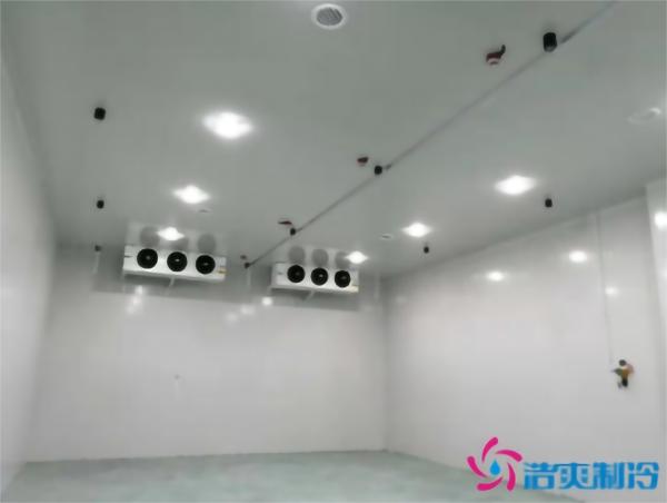 食品冷冻库建造需要多少成本？_浩爽制冷