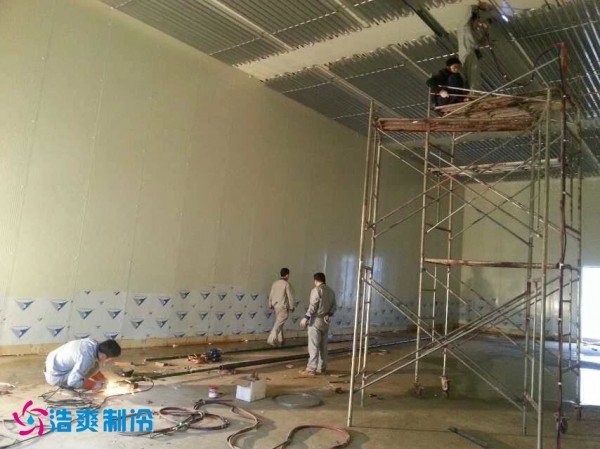 宜宾市娥天歌食品有限公司食品冷库建造工程