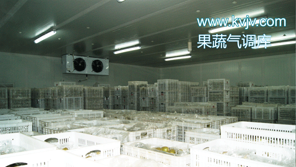 衢州蜜之源果业气调保鲜冷库建造工程 衢州蜜之源果业气调保鲜冷库建造工程