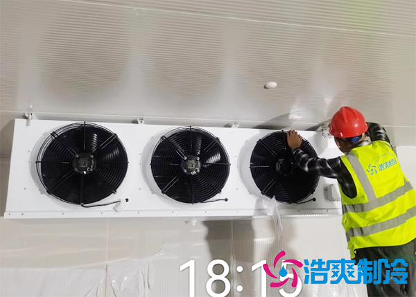 水果批发市场建造水果保鲜冷库报价大概需要多少钱？-浩爽制冷