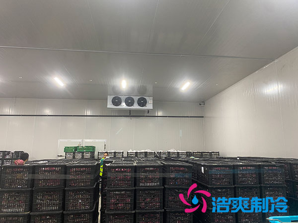 嘉定鸡蛋冷库安装建造多少钱？-浩爽制冷
