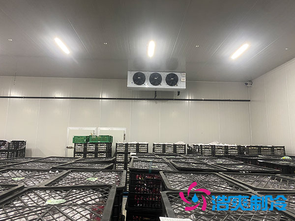 嘉定鸡蛋冷库安装建造多少钱？-浩爽制冷