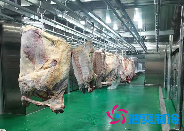 咸阳屠宰场陕西冷库建造价格多少钱？-浩爽制冷