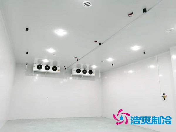 水果催熟冷库安装造价