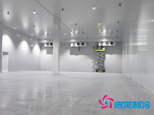 自建冷库的成本与维护费用概述
