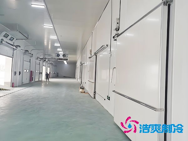 500吨容量冷库造价