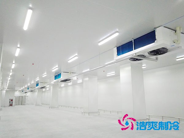 5000吨大型冷库造价