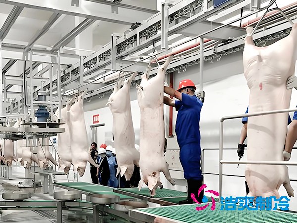 屠宰场冷库工程造价预算