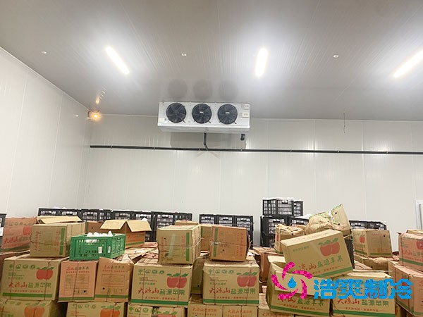 苹果保鲜冷库
