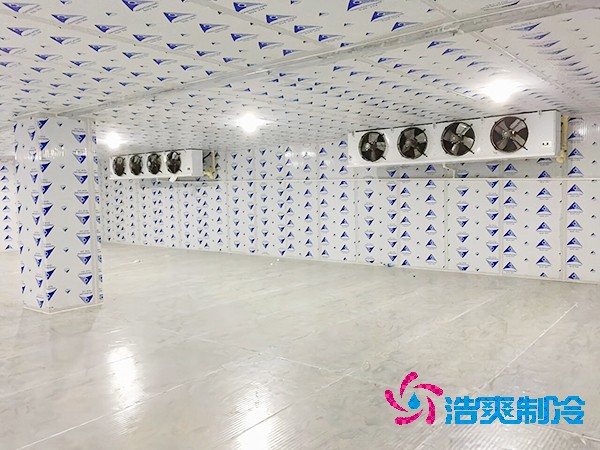 冷冻库建设方案报价