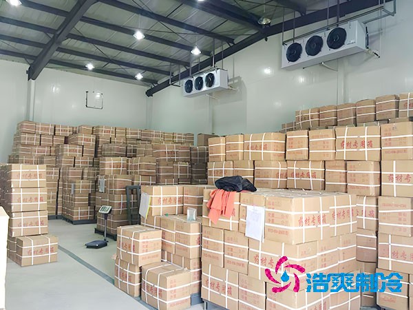 千吨级食品冷库造价预算