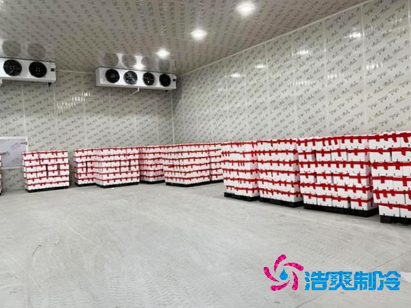 千吨级食品冷库造价预算